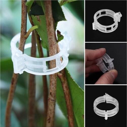 50pcs Vegetable Garden Plant Support Tomato Seeds Trellis Plant Clips Support Vegetable Grow Upright Transparent Garden Clips