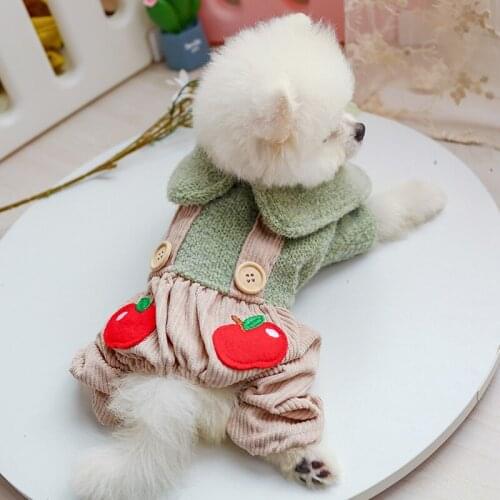 Cute Girl Boy Apple Winter Dog Dresses And Jumpsuit Pet Couple Coat Pomeranian Clothing Poodle Bichon Schnauzer Pet Outfit Goods