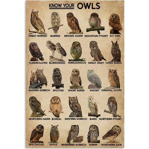 Vintage Tin Signs Custom Know Your Owl Knowledge Metal Sign,Vintage Wall Art, Decoration Sign Anniversary Birthday Personalized