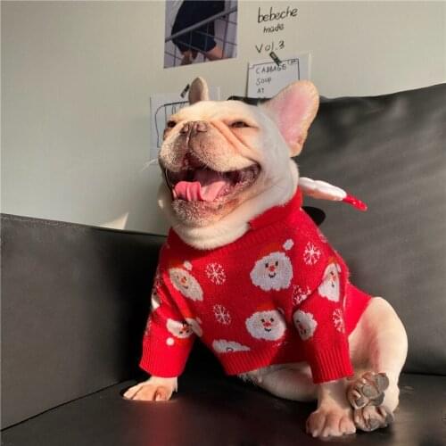 Funny Dogs Clothes for Small Dog Holiday Dress Cat Bulldog Pug Dog Teddy Schnauzer Puppy Autumn Winter Sweater Dog Clothes
