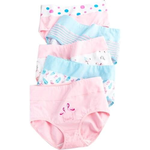 ZJX 5Pcs Womens Panties High Waist Soft Cotton Underwear Cute Printed Seamless Briefs Soft Breathable Girls Slimming Panty