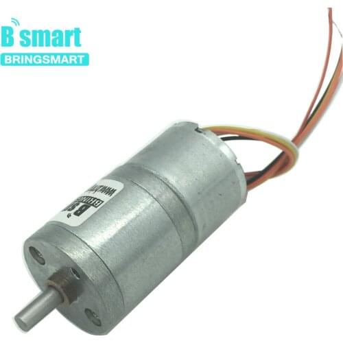 Bringsmart JGA25-2418 12v DC Brushless Gear Motor Low Speed Reduction Motor Adjustable Speed Controlled 24V BBQ