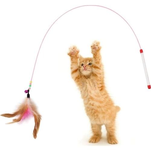 1 PC Funny Kitten Cat Teaser Interactive Toy Rod with Bell and Feather Toys For Cats Teaser Interactive Toy Rod Cats toys Stick