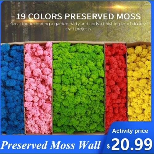 Искусственные растения KKMOON China At AliExpress