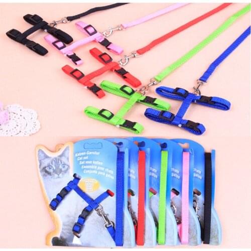 Pet Accessories Dog Cat Leash and Harness Two Piece Sets Solid Adjustment Dog P Chain Leash for Kitten Cat Supplier