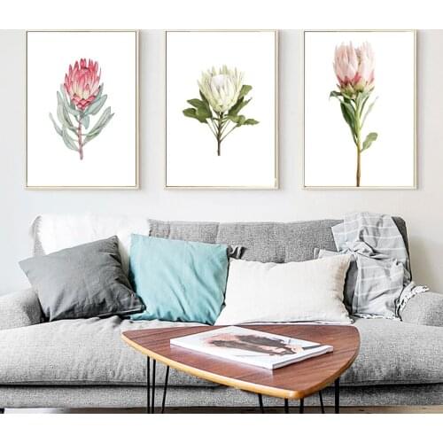 Posters and Prints Watercolor King Protea Home Decor Canvas Painting Blushing Flower Wall Pictures For Living Room Decorative