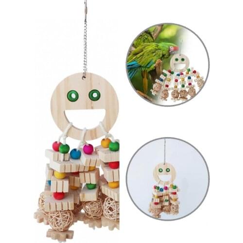 Intellectual Training Chewing Pet Educational Parrot Toys for Pigeon