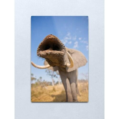 Trunk call Metal Print Tin Sign Bar Home Wall Decor Metal Art Poster Metal Wall Art Vintage Farmhouse Decor Kitchen Vintage