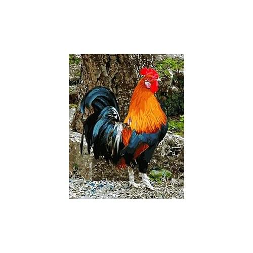 MaHuaf-X964 cock animal hand painted canvas oil painting by numbers framed digital coloring by numbers on canvas for home decor