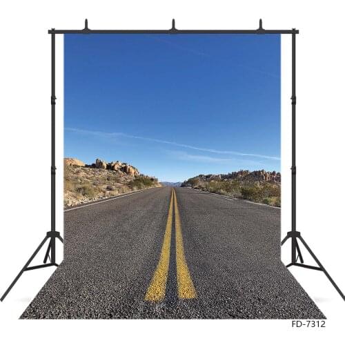 Photography Backdrops Highway Landacape Vinyl Photo Studio Backgrounds for Baby Children Portrait Dolls Photocall Photobooth