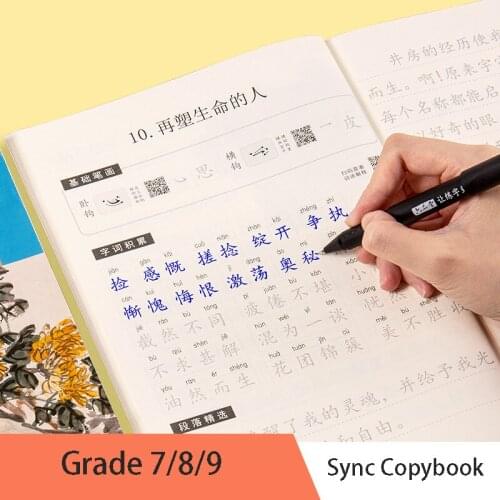 Copybook Practice Book Learning Writing Regular School Students Beginners Educational Handwriting Calligraphy Chinese Groove