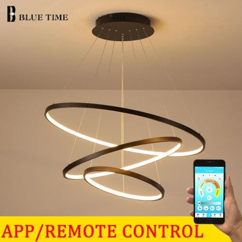 Rings pendant light 1.5meter drop