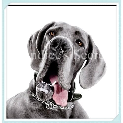 NEW DIY diamond painting rhinestone pasted full rhinestone 3D diamond painting cross stitch dog