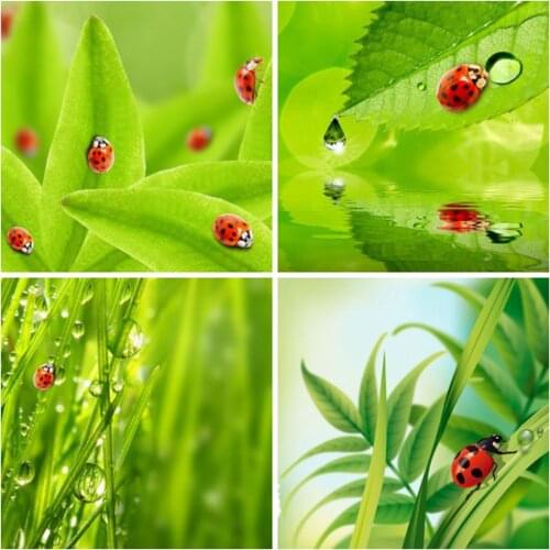 EverShine 5D DIY Diamond Embroidery Ladybug Picture Rhinestones Diamond Painting Animal Cross Stitch Needlework Mosaic Kits