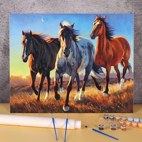 Horse Animal DIY Paint By Numbers Set Oil Paints 50*70 Picture By Numbers Photo Handmade For Kids For Drawing Art