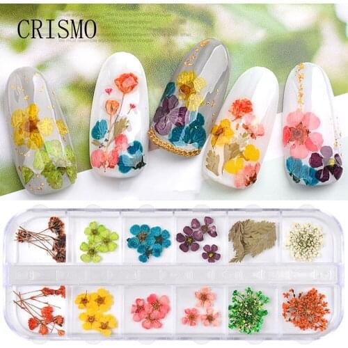 CRISMO Mix Dried Flowers Nail Decorations Jewelry Natural Floral Leaf Stickers 3D Nail Art Designs Polish Manicure Accessories