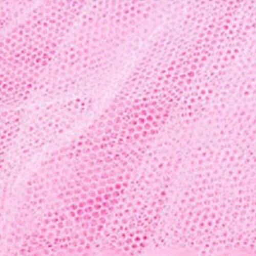 Double Bed Universal Dome Mosquito Net Protection Against Mosquitoes Flies Easy Installation Net STTA889