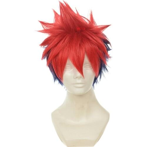 Shokugeki No Soma Yukihira Souma Cosplay Wig for Men Boys 30cm Short Straight Heat Resistant Synthetic Hair Blue Red Mixed