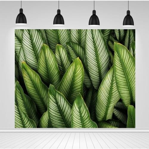 Scopiso Summer Tropical Forest Jungle Tree Green Leaves Plants Scenery Baby Backdrop Photography Background For Photo Studio