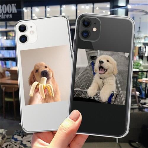 Ottwn Funny Animals Cat Dog Phone Case For iPhone 12 Pro Max 11 Pro Max X XR XS Max 7 8 Plus SE 2020 Clear Soft TPU Back Cover