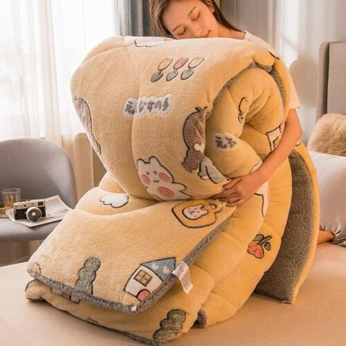 Cashmere Quilt Winter Quilt Core Cotton Quilt Thickened and Warm Double Sided In Winter All Year Round