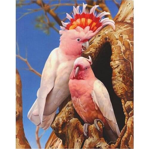 Square&Round Diamond Embroidery 5D Diy Diamond Painting Pink Parrot Cross Stitch Decor Diamond Mosaic Children Gift MuralZP-3006