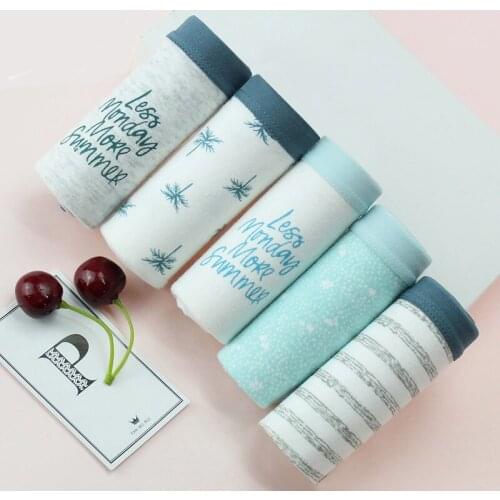 5PCS Panties Ladies Cotton Briefs Underwear Women Knickers Intimates Sexy Lingerie For Female