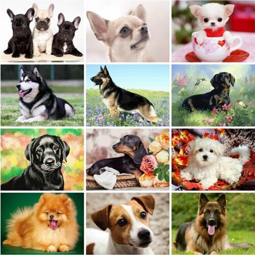 EverShine Diamond Embroidery Animal DIY Diamond Art Painting Full Drill Dog Cross Stitch Mosaic Kits New Arrival Handmade Gift