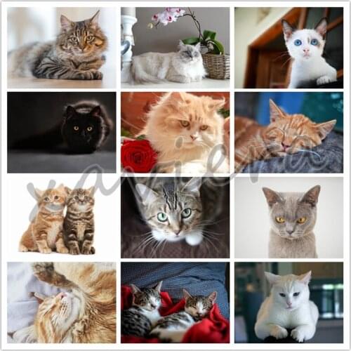DIY Diamond Painting Animal Embroidery Pet Cat 5D Full Square Drill Cross Stitch Mosaic Picture Handmade Production Gift Artwork
