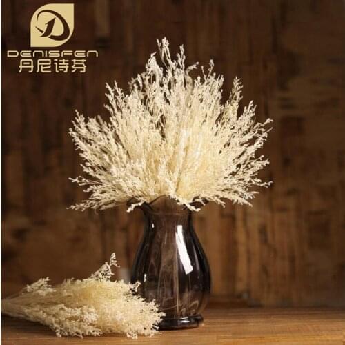 Denisfen White Valentine Grass Decorative Floral Natural Dried Flowers for Home Decor Wedding Festival Supplies 80g NF170820