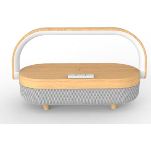 iTECHOR Portable Speakers