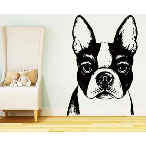 Fawn Boston Terrier Decal Dog Wall Decals Veterinary Vinyl Stickers Pets Shop Decal Grooming Salon Decor Home decoration 2321