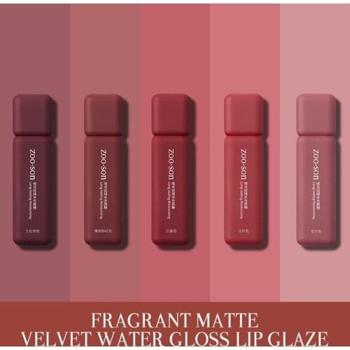 Makeup Lipstick Lip Gloss Matte Liquid Lip Tint Cream Matte Velvet Lip Glaze Long Lasting Waterproof Sexy Red Lip Makeup TSLM1