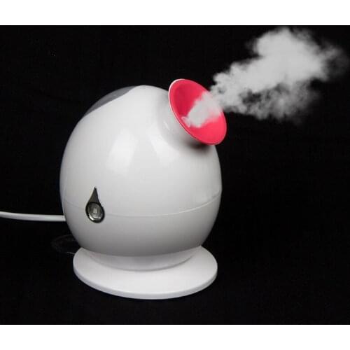 Ultrasonic facial Hydrating Machine Nano Sprayer Facial Steamer Summer moisture beauty care steamer face Spa 220-240V