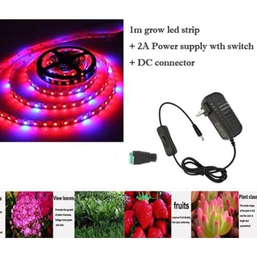 1m LED Plant Grow Lights 5050 LED Flexible Strip 12V Red Blue 3:1 4:1 5:1 power supply Greenhouse Hydroponic Plant Growing lamp