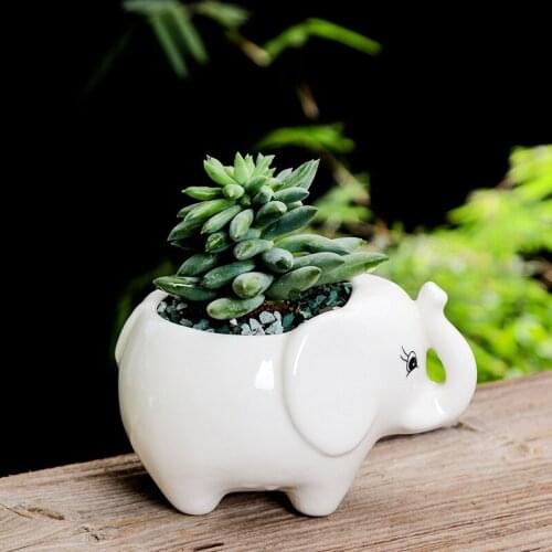 Gardening Creative Succulent Flowerpot European Hippo Ceramic Flowerpot Balcony Office Desktop Potted Ornaments Cartoon