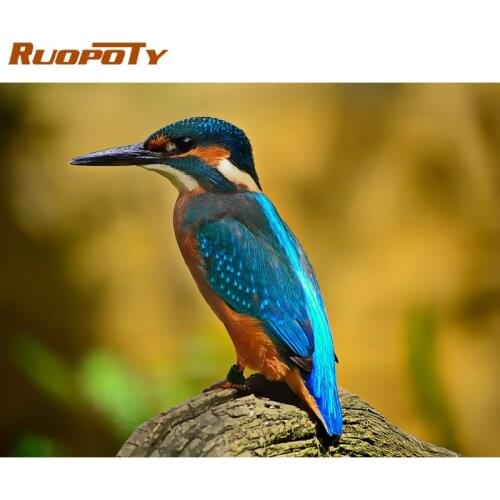 RUOPOTY 60x75cm Frame Paint By Number For Adults Birds Animals Picture By Numbers Acrylic Paint On Canvas Home Decors Diy Gift