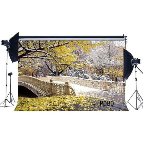 Photography Backdrops Rural Forest Bridge Fall Leaves Autumn Newborn Baby Kids Adutls Portraits Background
