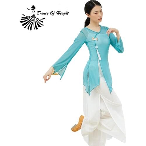 Chinese Style Dance Shirt Sexy V Neck Transparent Fairy Body Rhyme Top Classical Dance Training Dress Pink Plus Size