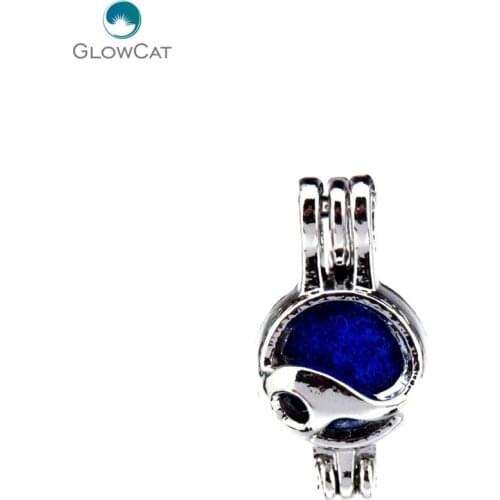 K529 5pcs/lot Silver Alloy 21mm Taiji Yingyang Taichi Beads Cage Pendant Locket Fairytale Party Essential Oil Diffuser