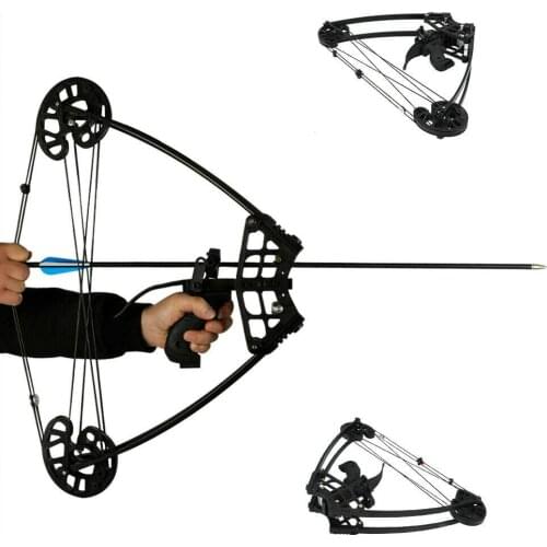 Archery 50lbs Compound Bow Ambidextrous Dual-use Triangle Bowfishing Bow Hunting