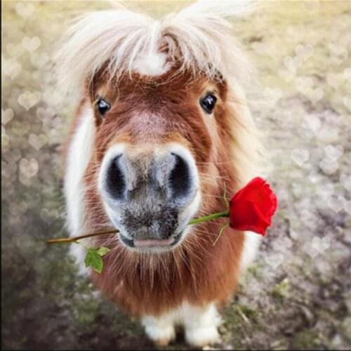 5d Diy diamond painting cartoon animal Baby horse rose round diamond mosaic home decoration embroidery pattern cross stitch