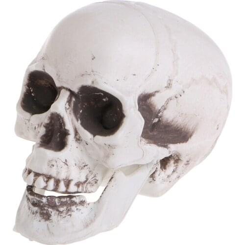 Plastic Human Mini Skull Decor Prop Skeleton Head Halloween Coffee Bars Ornament L4MA