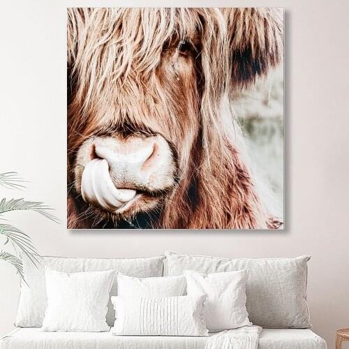Diy Diamond Painting Nordic Highland Cow Embroidery Modern Cattle Animal Art 5d Painting Wall Pictures Diamond Art rhinestone