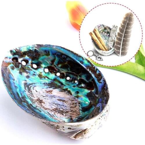 New Zealand abalone shell Natural craft Conch Home Decoration Aquarium Landscaping Wedding Landscape Decoraition