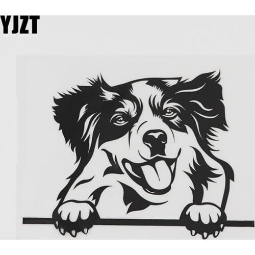 YJZT 15.9CMX11.8CM Decal Australian Shepherd Peeking Vinyl Car Sticker Black/Silver 8A-0530