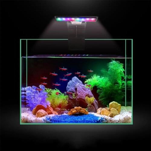 AeonSpectra Equipment For Aquariums