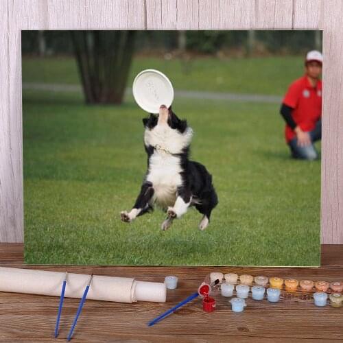 Animal Border Collie Painting By Numbers Complete Kit Acrylic Paints 40*50 Picture By Numbers Photo New Design Handicraft