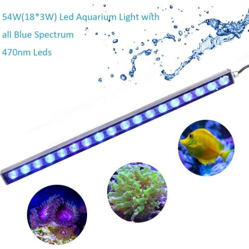 Populargrow Lighting For Aquariums