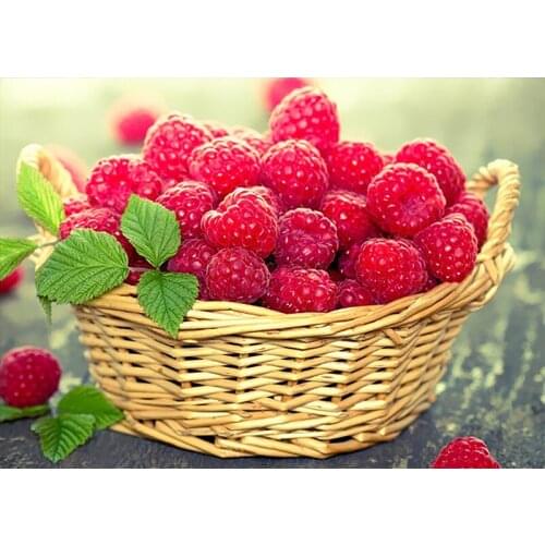 40×50CM DIY Painting By Numbers Picture Colouring Strawberry HandPainted Oil Painting Unique Gift Home Decor